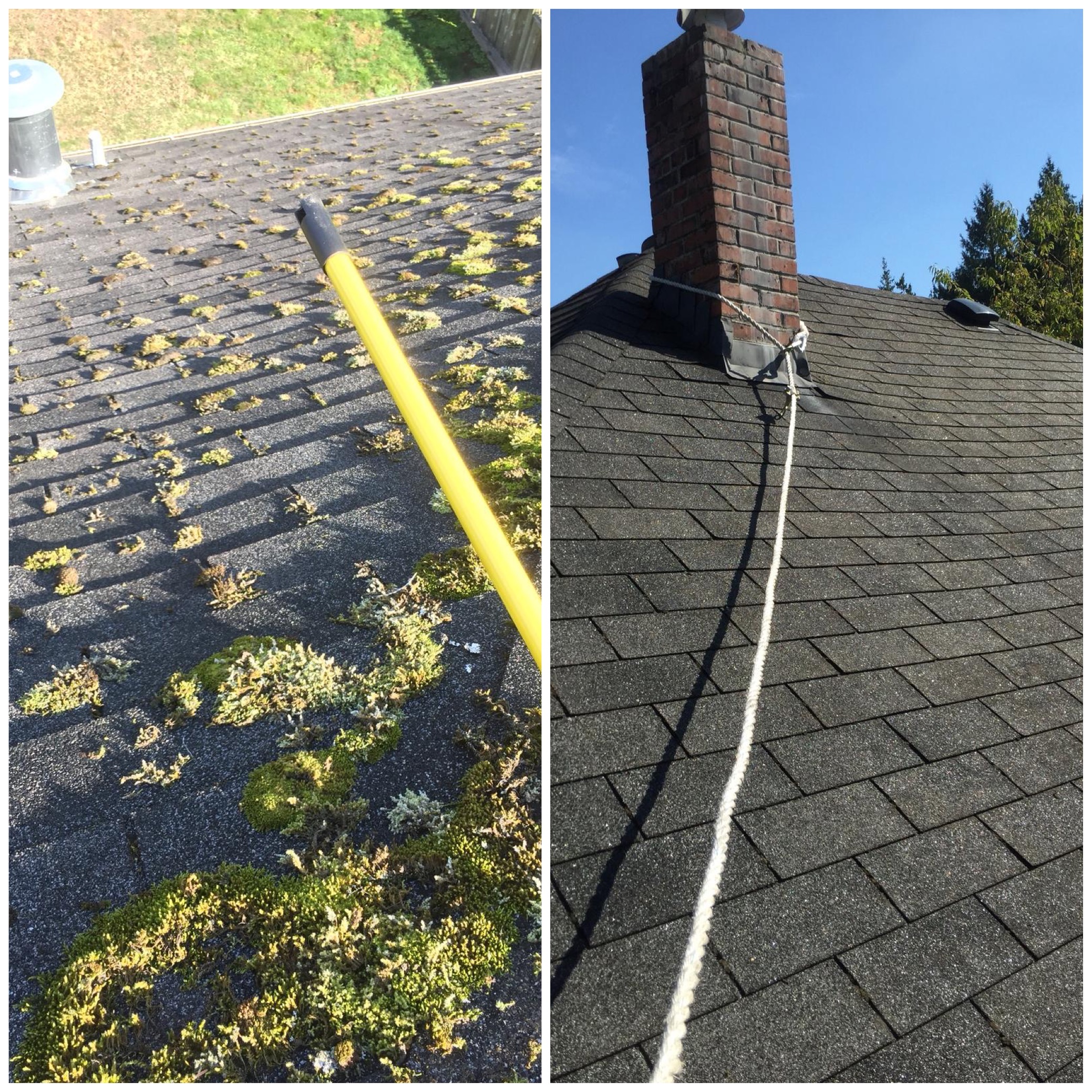 Why it is Important to Do Roof Cleaning and Moss Removal