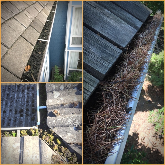 gutter cleaning vancouver